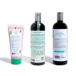 montaje-web-KIT-PARA-CABELLO-GRASO-LA-RECETA_trasera.jpg