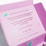 Nueva-caja-de-empaque--grande--4
